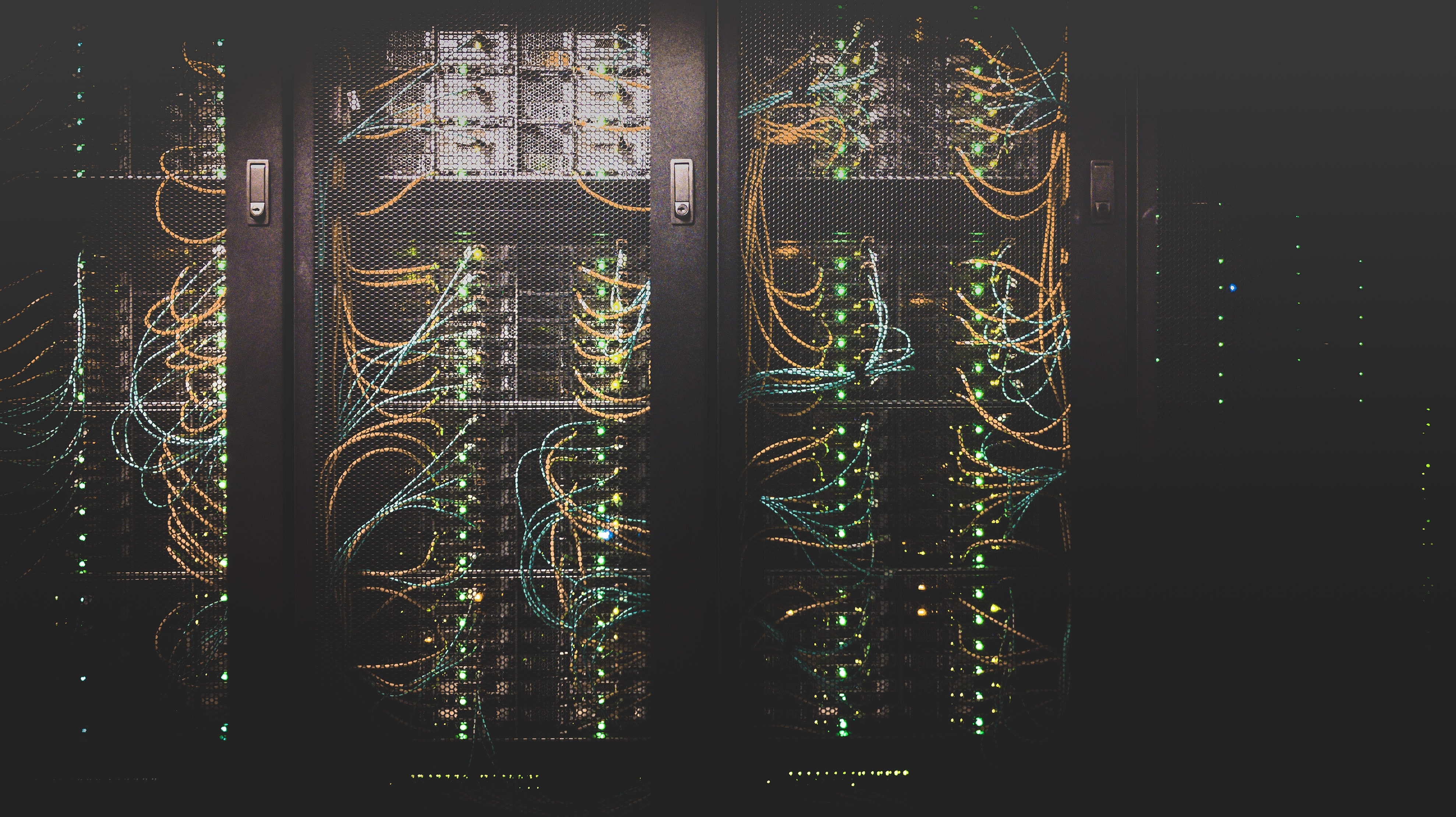 IT & Software Development
